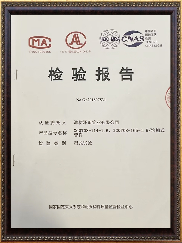 檢驗(yàn)報告