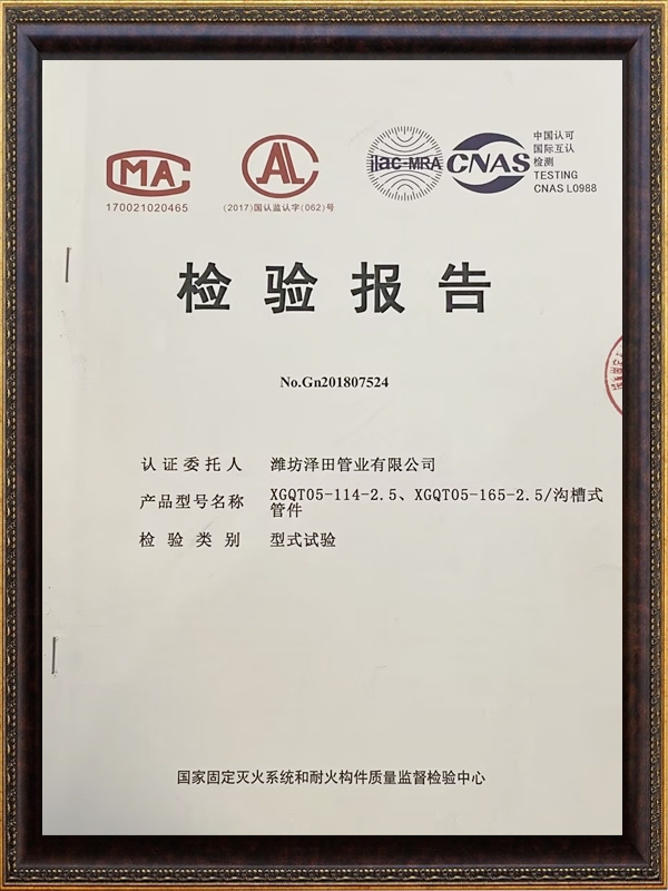 檢驗(yàn)報告